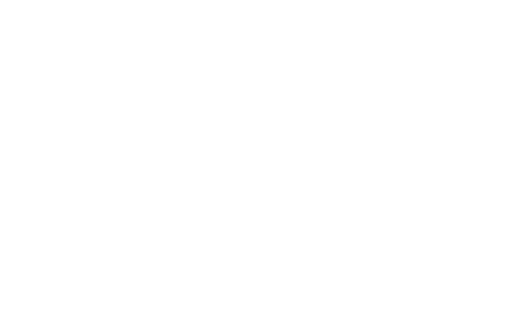 Official Selection — Red Movie Awards 2027